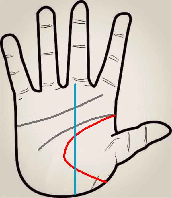 정력이 강한 손금