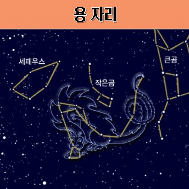 북쪽 하늘의 용자리