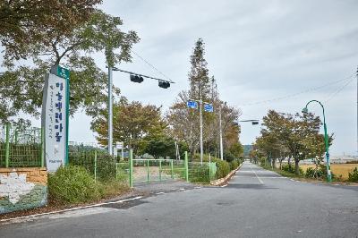 무안회산백련마을