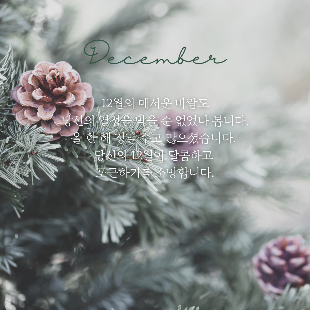 2025년 12월 인사말 문구 이미지 모음집