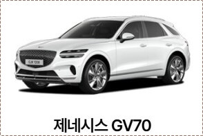 넥쏘 수소차 가격