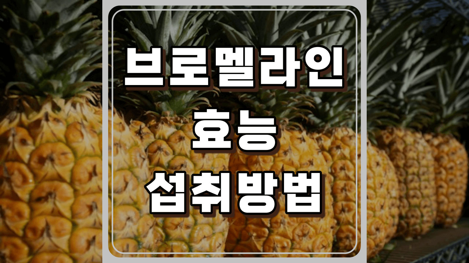 브로멜라인 효능