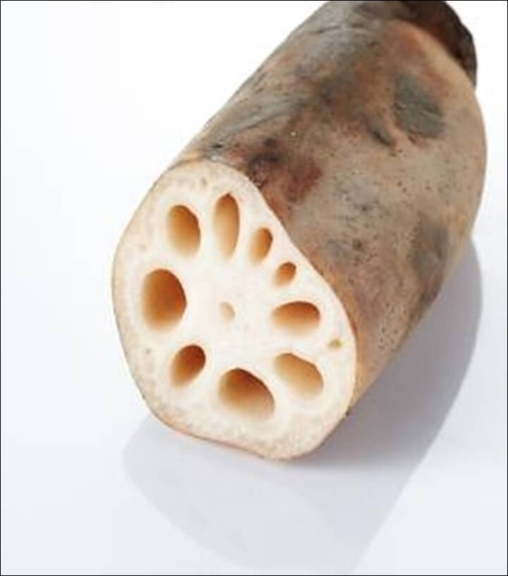 연근 효능 빈혈