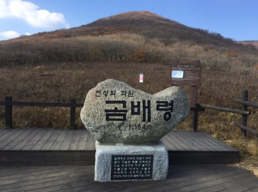 곰배령 가는길 및 예약, 날씨, 야생화 시기, 주차장, 등산코스 가이드