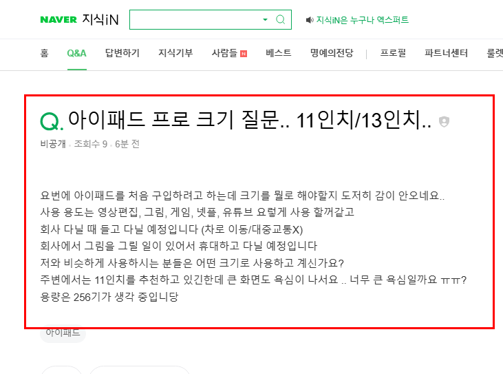 아이패드 프로 크기 질문 지식인
