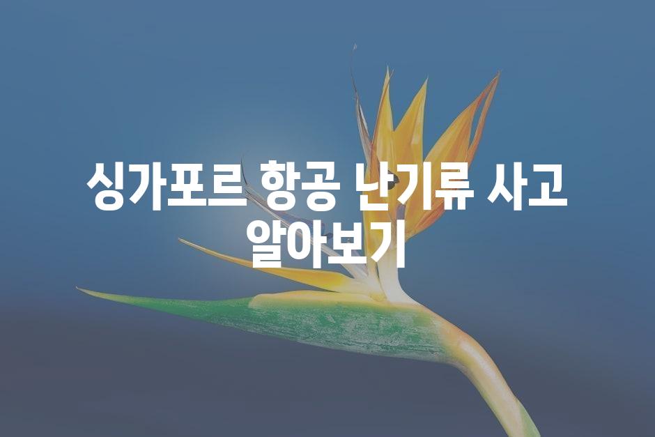 샘플 (45)