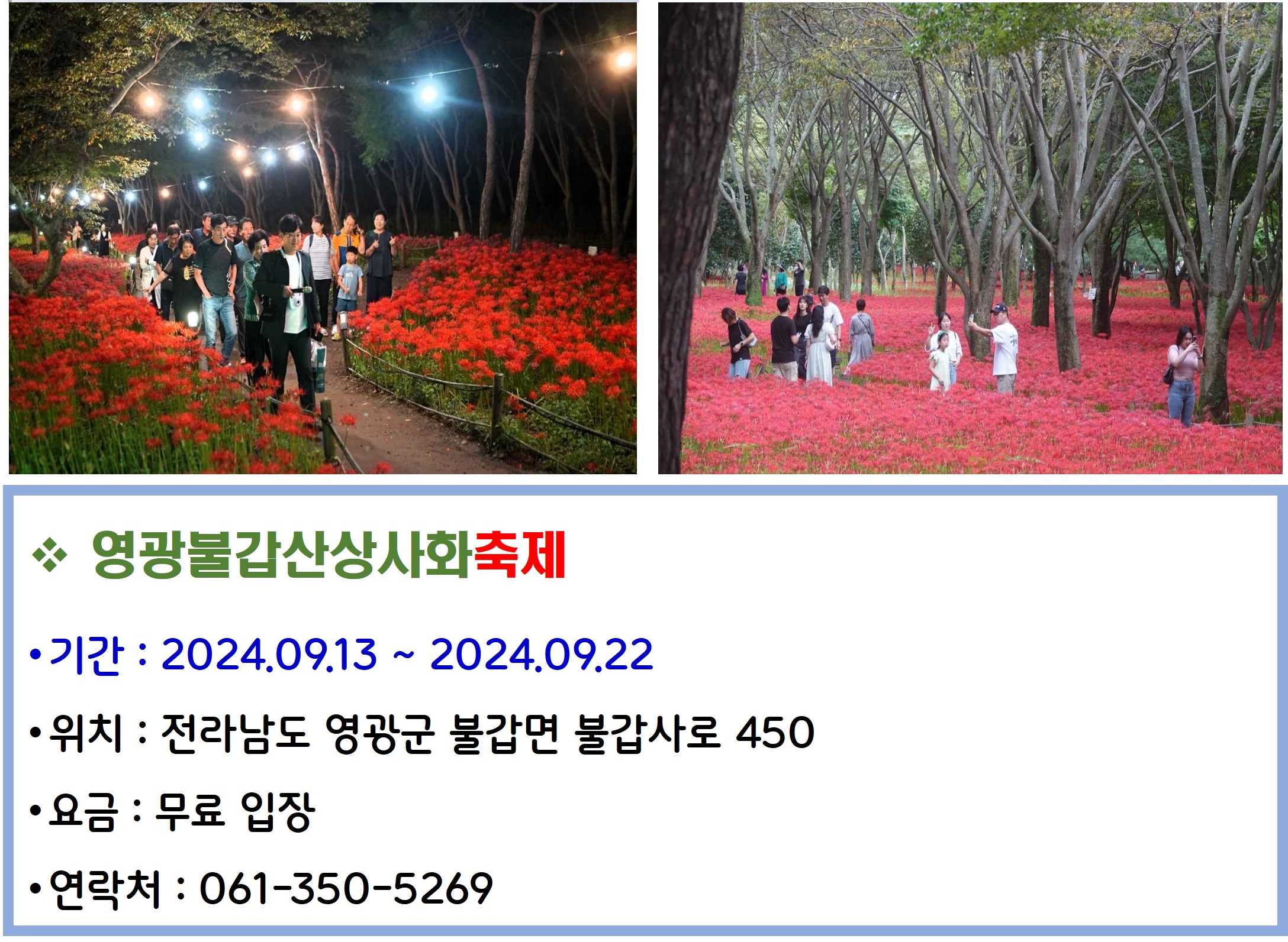 영광불갑산상사화축제