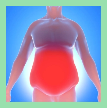 내장지방 빼는 법