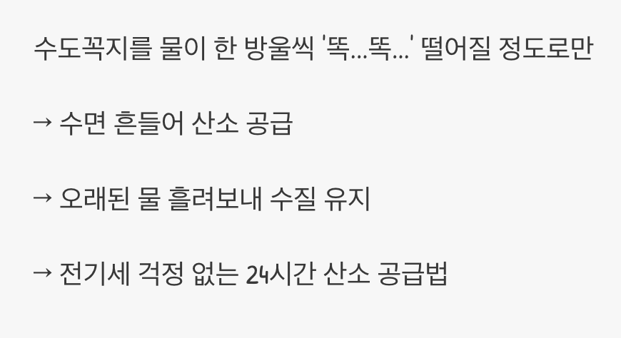 '물 흐름'이 생명, 산소 공급의 비밀