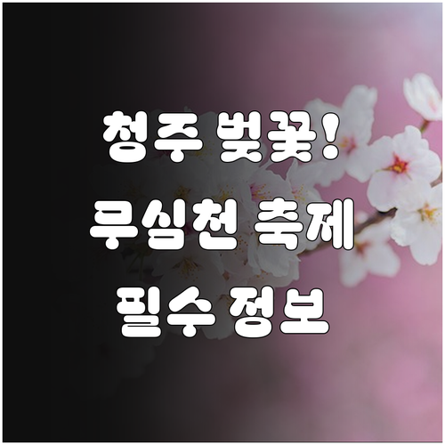 청주 흥덕구 벚꽃 개화 시기와 무심천..