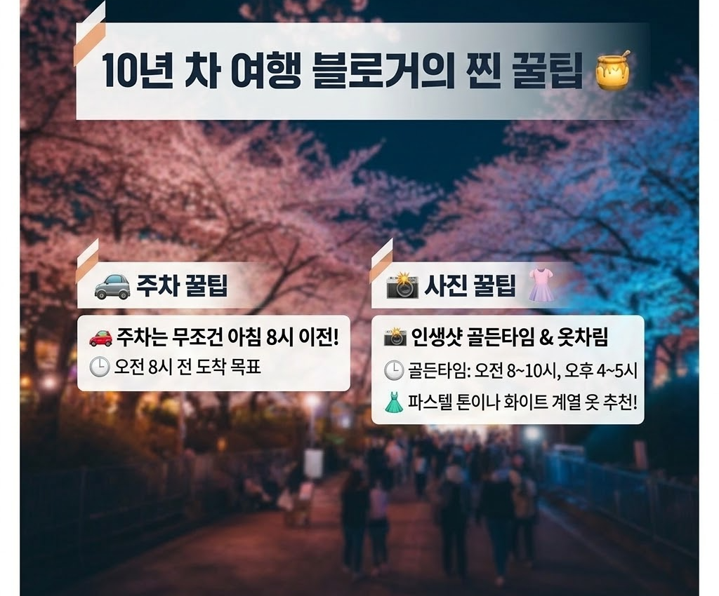 공주 벚꽃