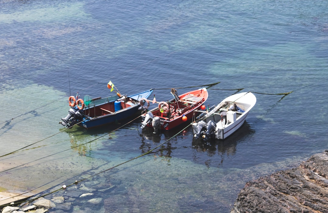 Fishery