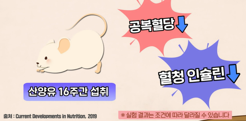 산양유 단백질 효능