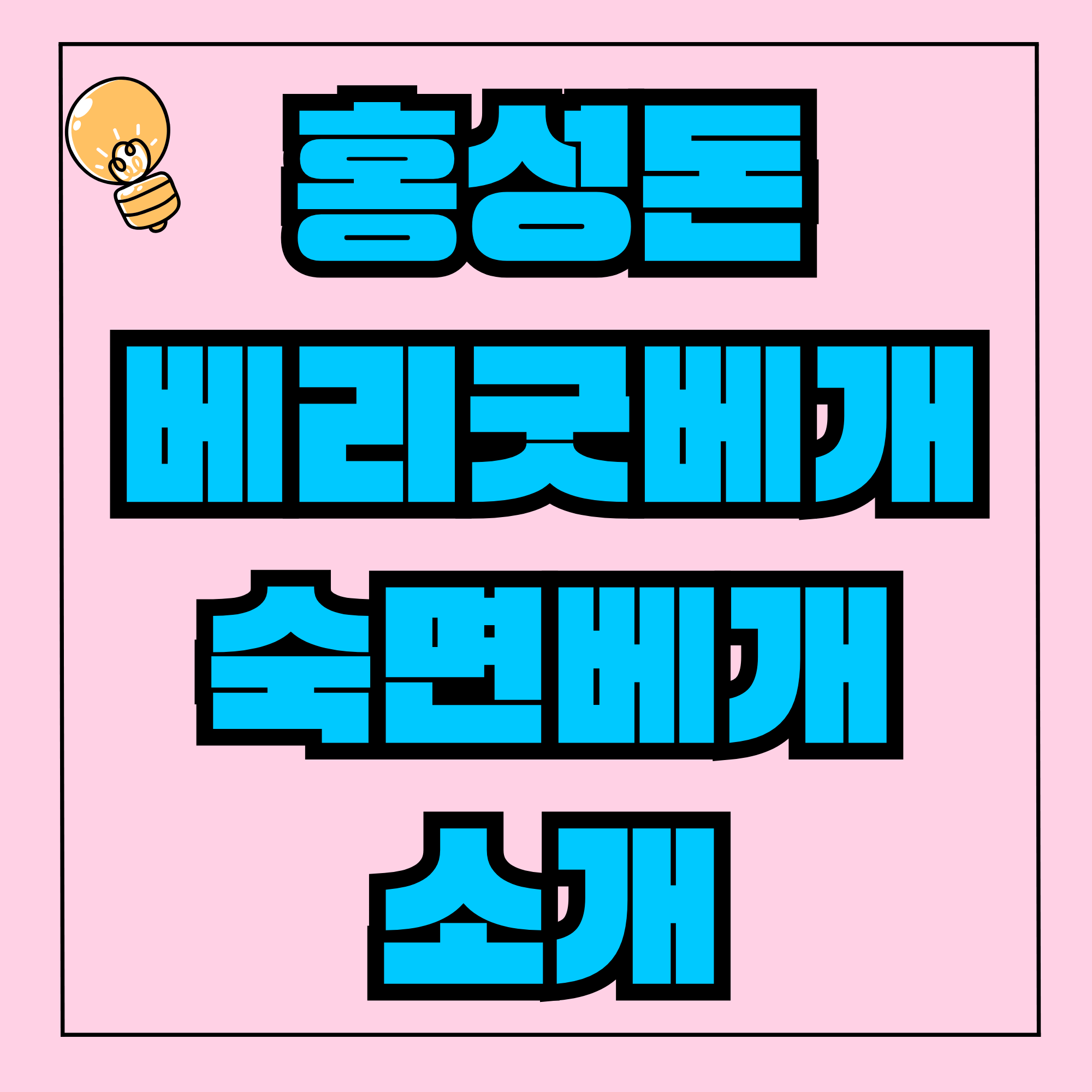 다리달린숙면베개 홍성돈 베리굿베개