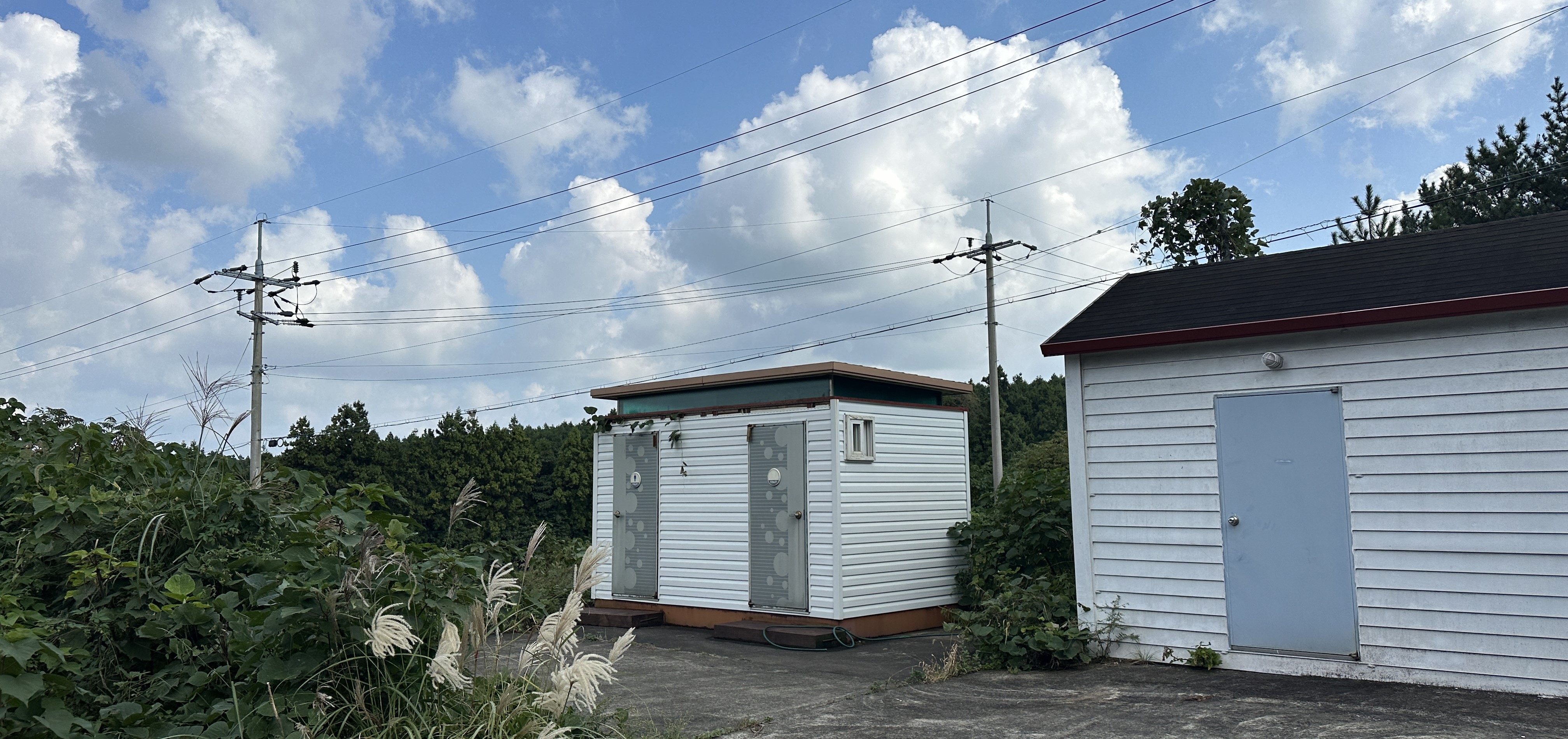 괭이모루 숲길 입구