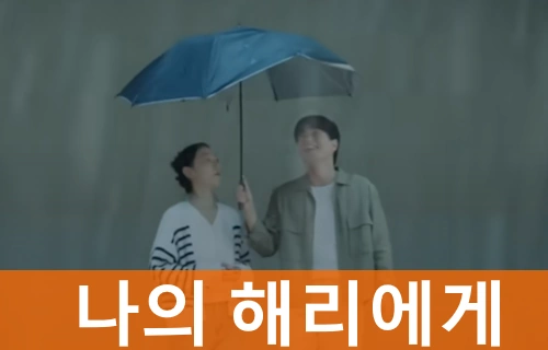 나의 해리에게 드라마