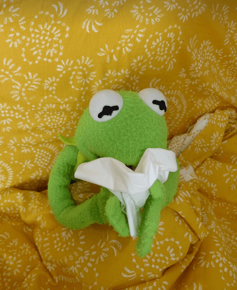 감기 증상과 감기에 좋은 차 사진 - 40