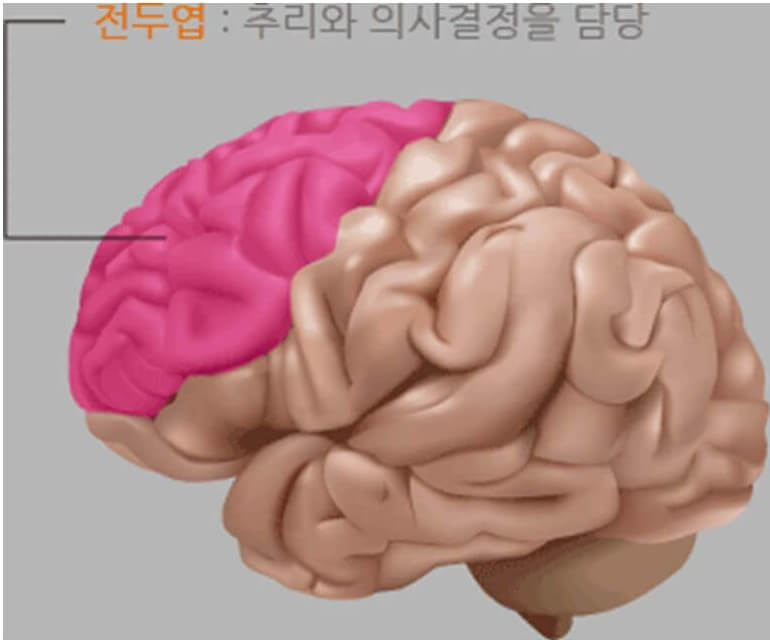 전두측두엽