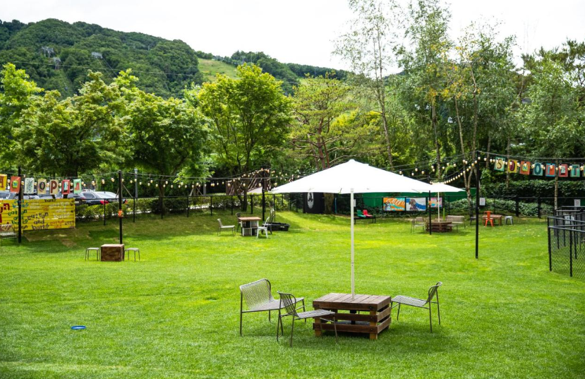 홍천 소노펫클럽앤리조트