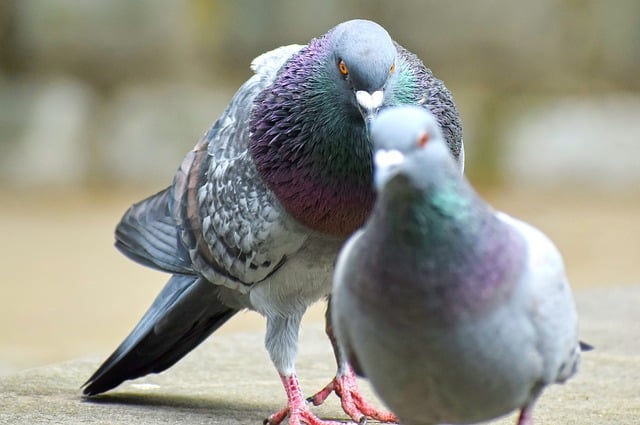 아르기닌 부작용 8가지 총정리 23