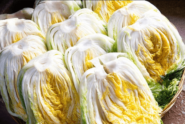 가을에 심는 작물들