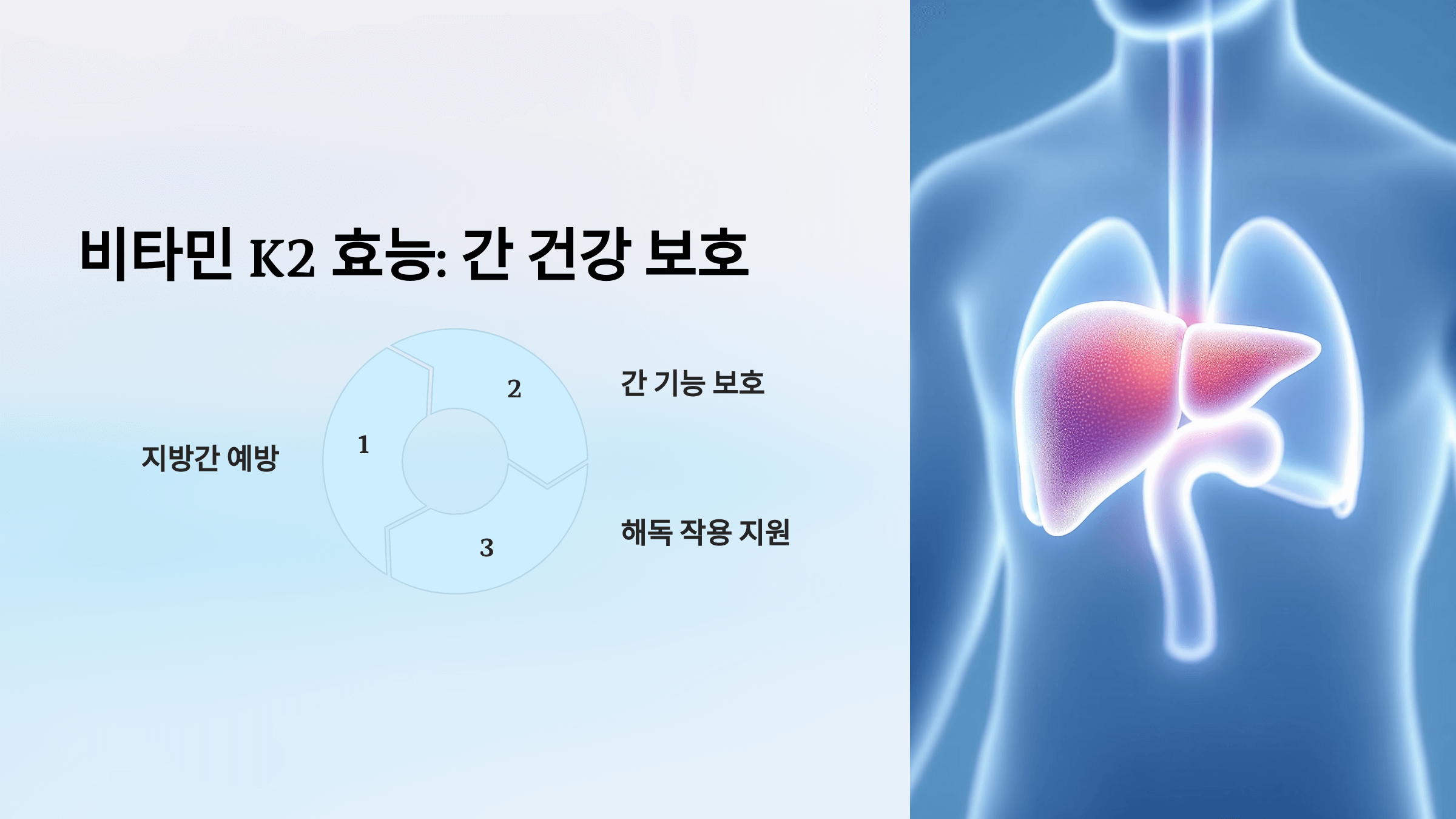 비타민k2와 관련된 사진입니다.