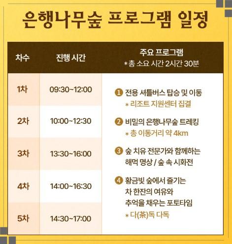 에버랜드 가든패스 필수! 11월 7일~10일, 국내 최대 '은행나무 군락지' 600명 한정 특별 개방