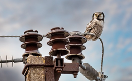 전기기사-시험일정-응시자격-필기-실기