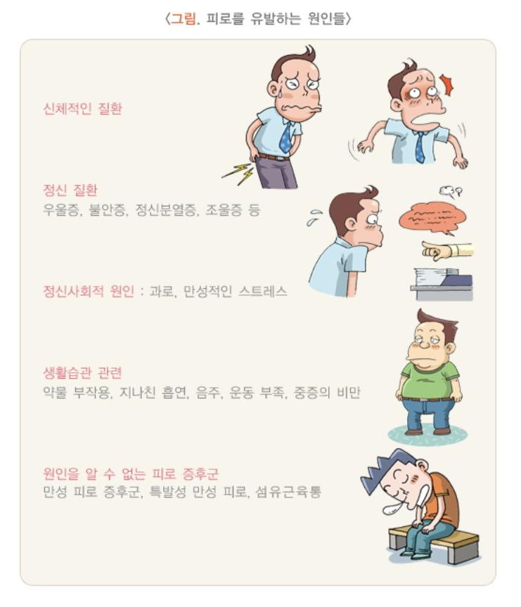 피로를 유발하는 원인