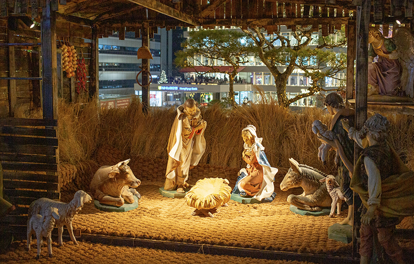 명동성당 크리스마스 LED 장미정원4