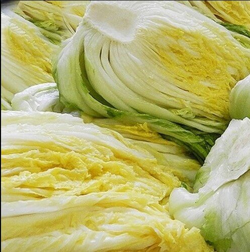 절임배추 20kg 추천