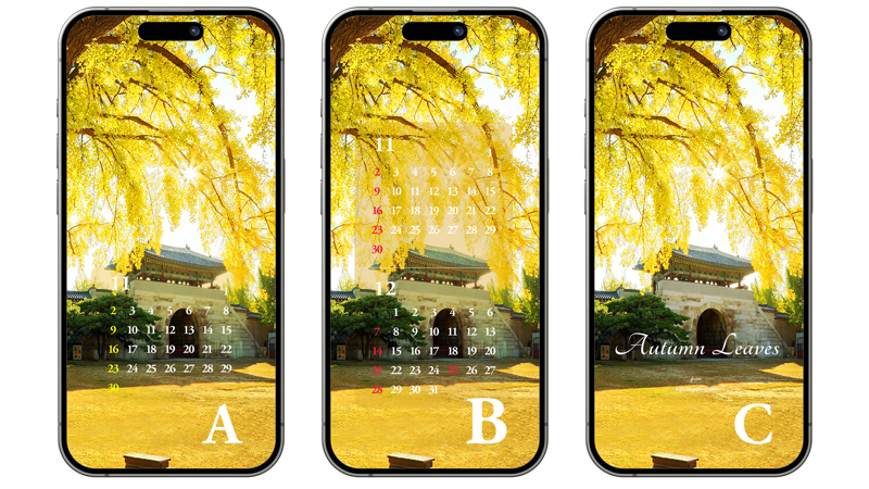 05 경복궁 건춘문 ABC - 2025년11월 아이폰배경화면