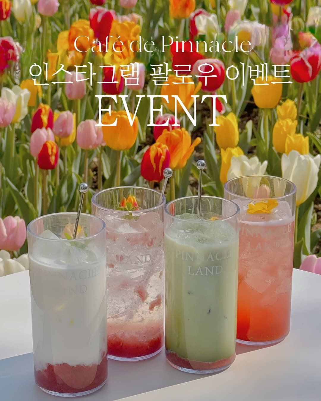 피나클랜드 카페 드 피나클 봄 한정 음료 이벤트 사진