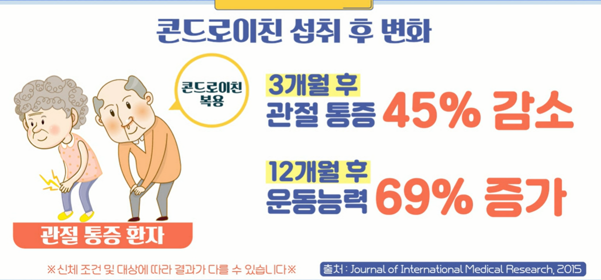 콘드로이친 효능