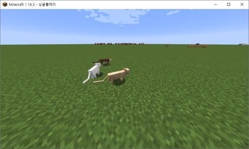 마인크래프트 고양이