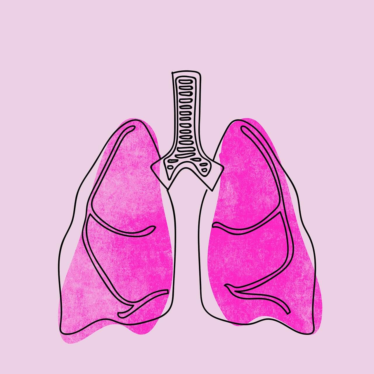 폐에 좋은 영양제