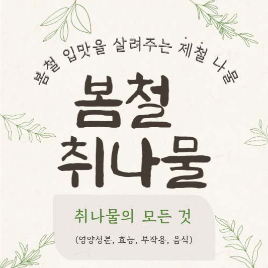 봄철 입맛을 살려주는 제철 나물, 취나물의 모든 것