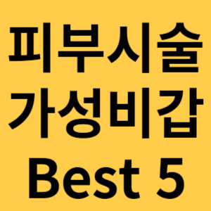 피부시술 가성비 갑 best 5 섬네일