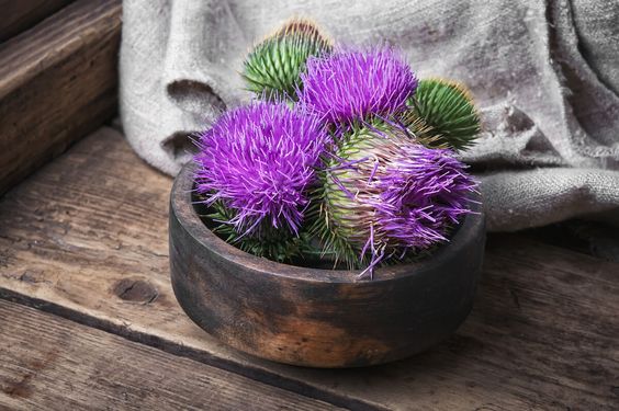 간에 좋은 영양제 간 안좋을때 나타나는 증상