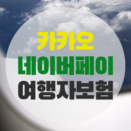 카카오 네이버페이 여행자보험 비교에 대한 그림