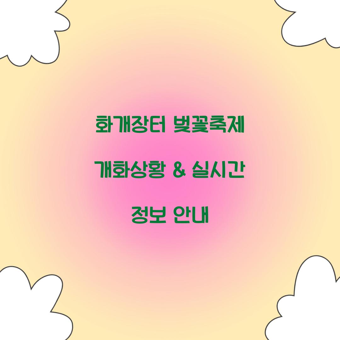 화개장터 벚꽃축제 개화상황