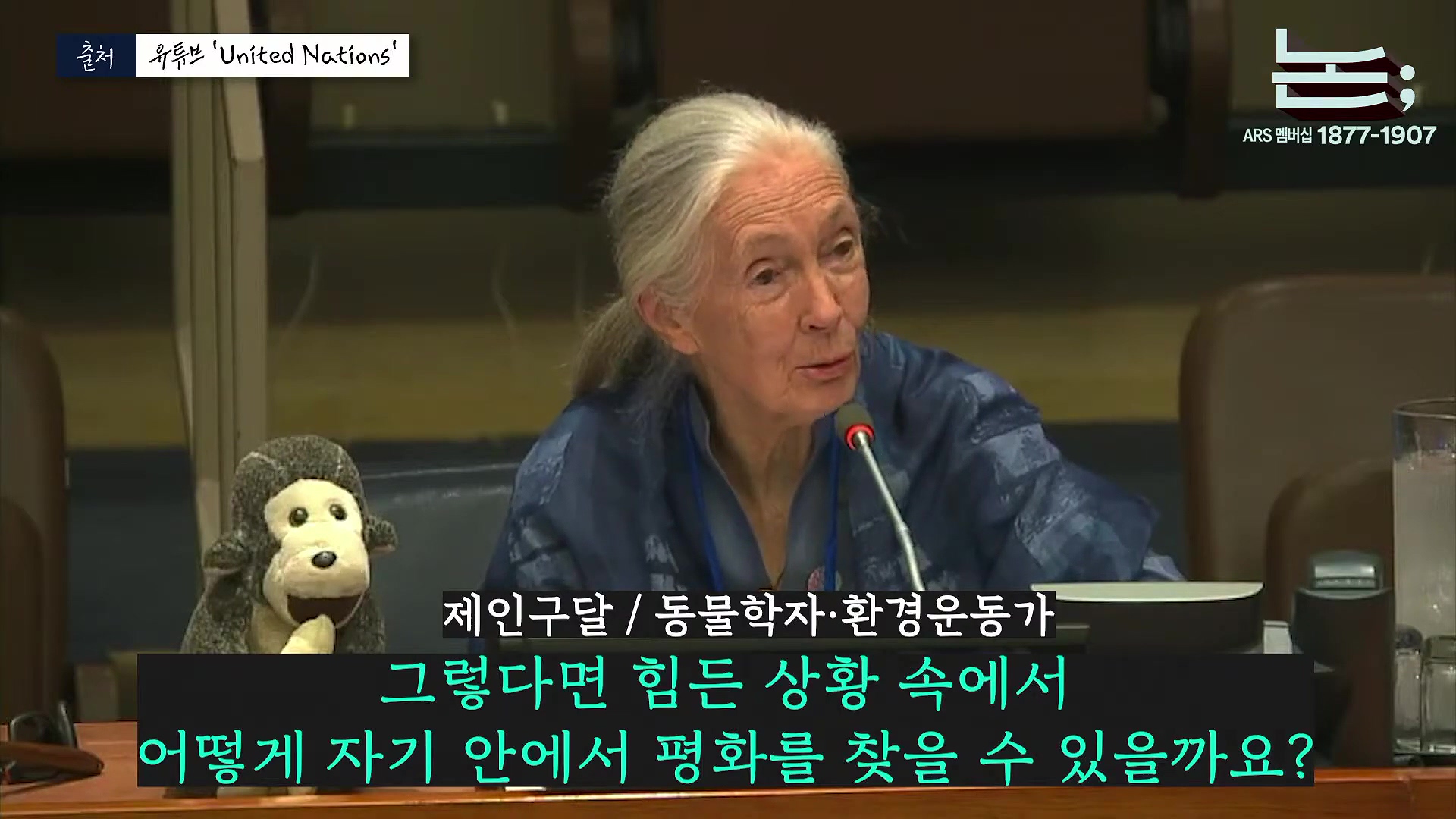 [정준희의 논] '제국의 위안부' 박유하와 '침팬지의 어머니' 제인 구달ㅣ2025년 10월 2일 목요일.mp4_20251006_195556.429.jpg