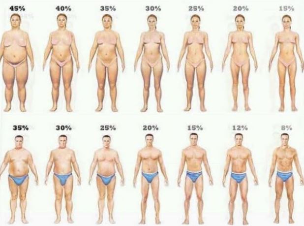 남녀-체지방률-정상-범위