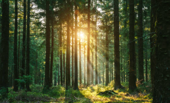 청송-가볼만한곳