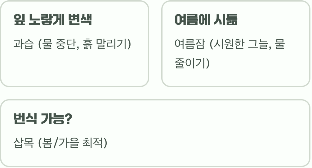 제라늄의 여왕, 리갈제라늄 키우기 A to Z