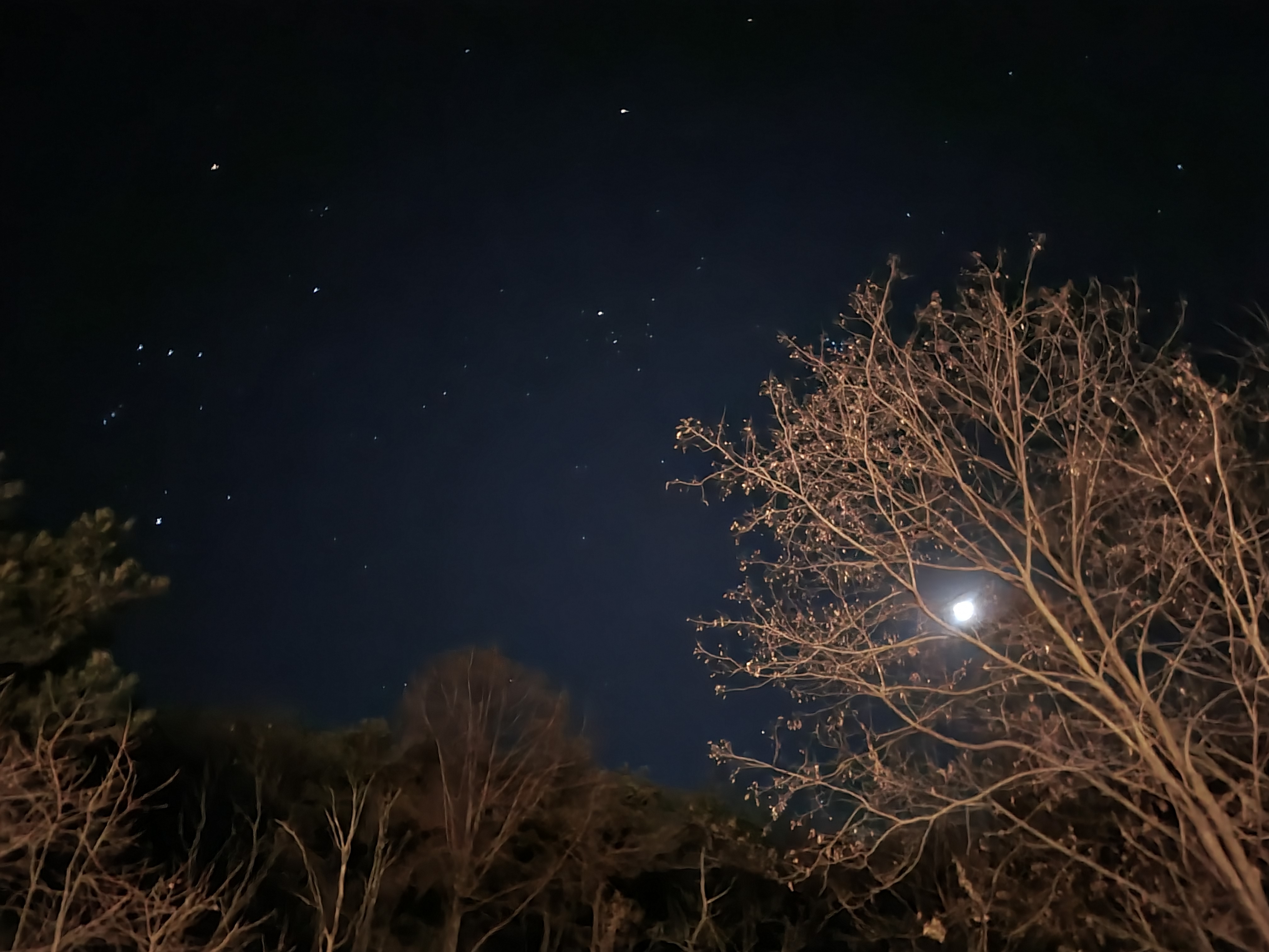 캠핑홀릭 캠핑장