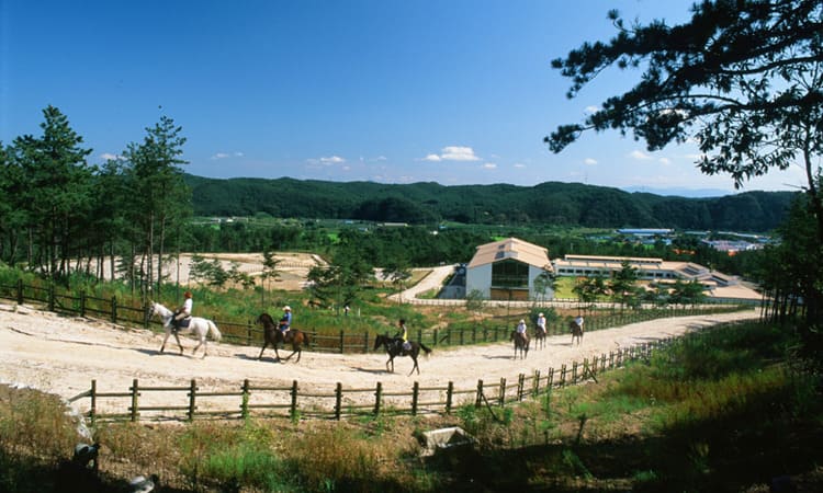 운주산 승마 자연휴양림