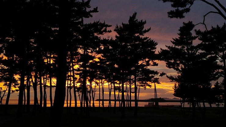 전북 고창 구시포 노을캠핑장 소개