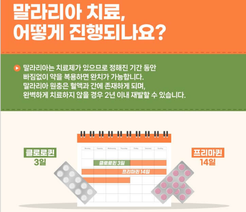 말라리아 증상 예방접종 예방약 치료제 총정리