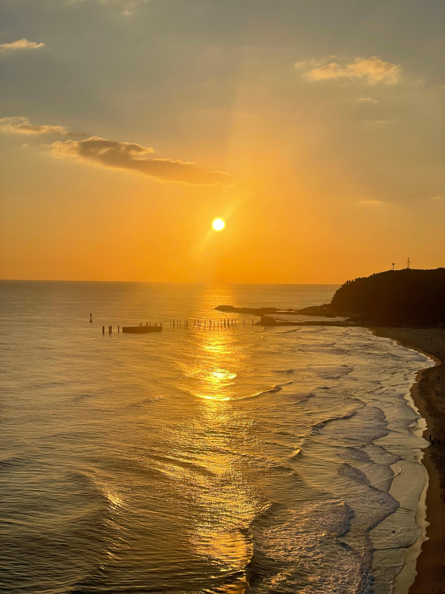 솔비치 삼척 일출 체험